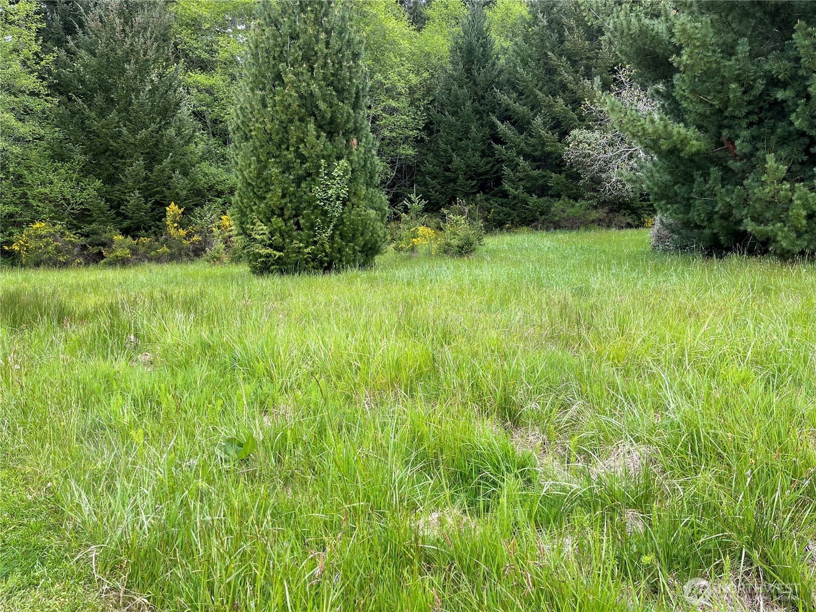 Property at 0 XXXX SE 224th Street